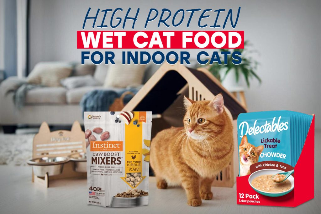 High Protein Wet Cat Food For Indoor Cats