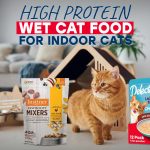 High Protein Wet Cat Food For Indoor Cats